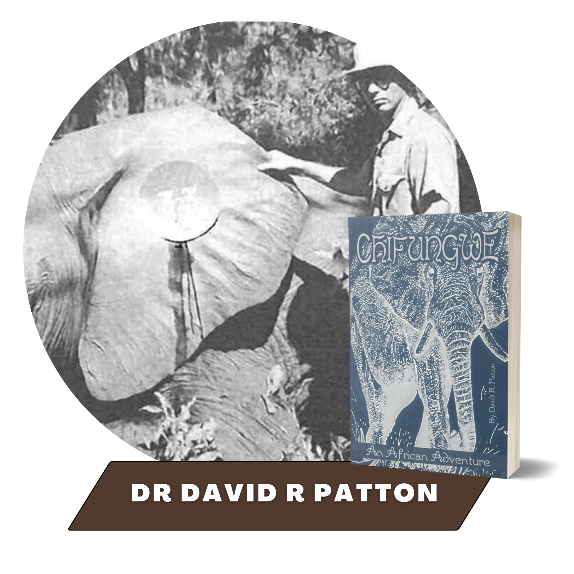 Dr. David R. Patton